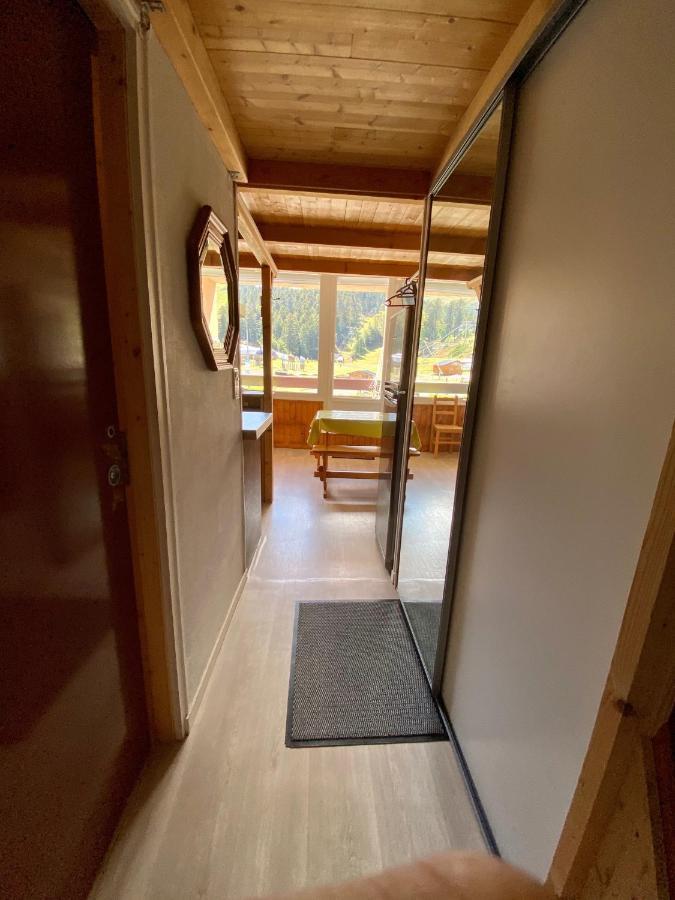 Super Lioran - Appartement Entierement Equipe Laveissière Exterior foto